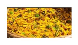 CoolEase Anica Montana