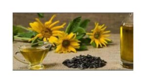 CoolEase Sunflower Oil