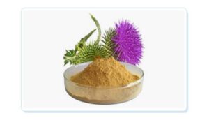 The Stem Cell Purple Flower