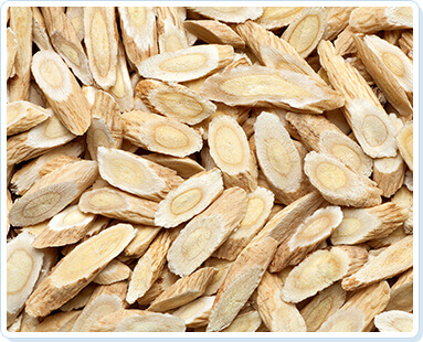 The Stem Cell Solution review