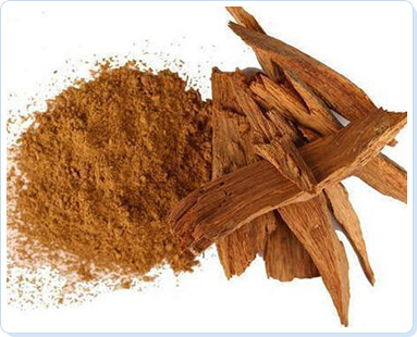 The Stem Cell Solution review