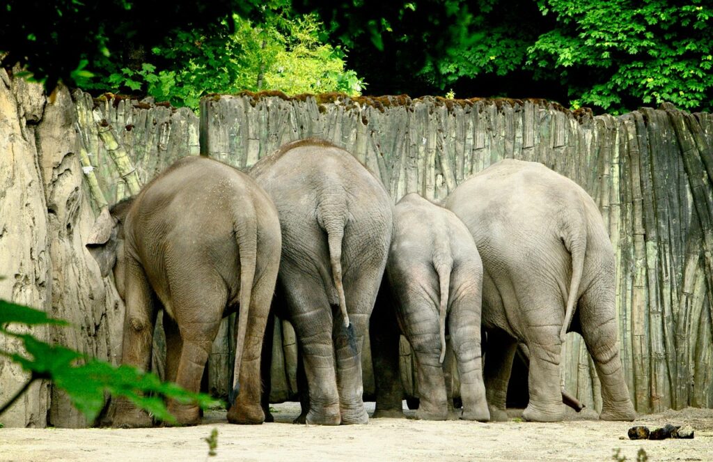 Unlock Your Glutes Program review